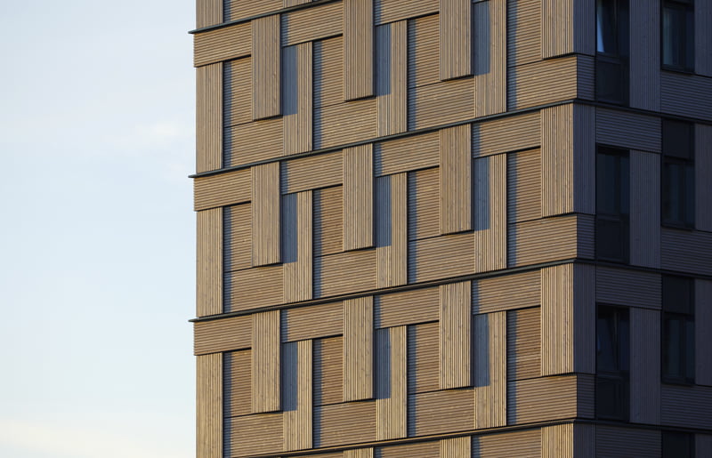 Woodie 4