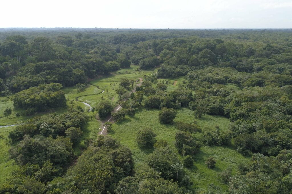 Bolsonaro gelooft ontbossingscijfers niet featured image