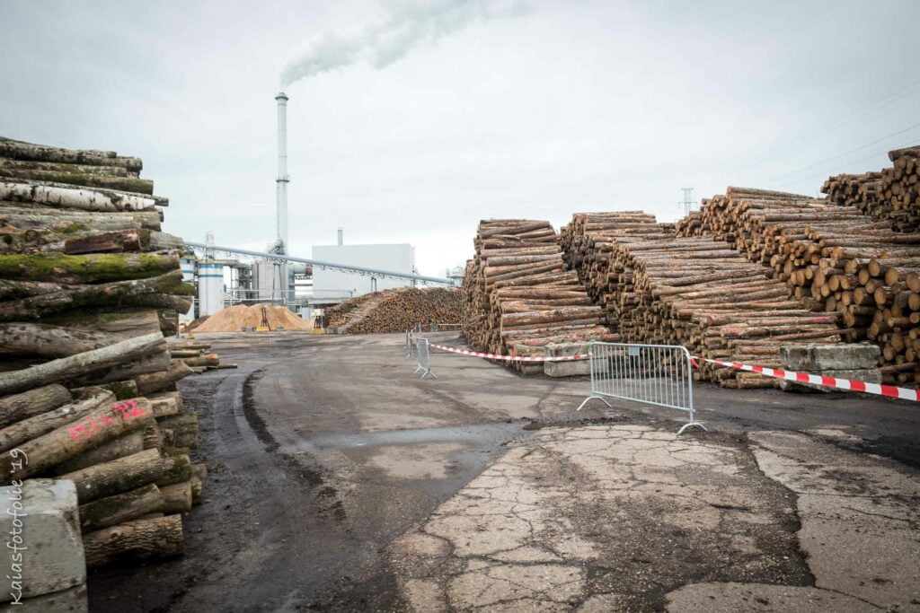 Minder geurhinder met terpeenarm loofhout featured image