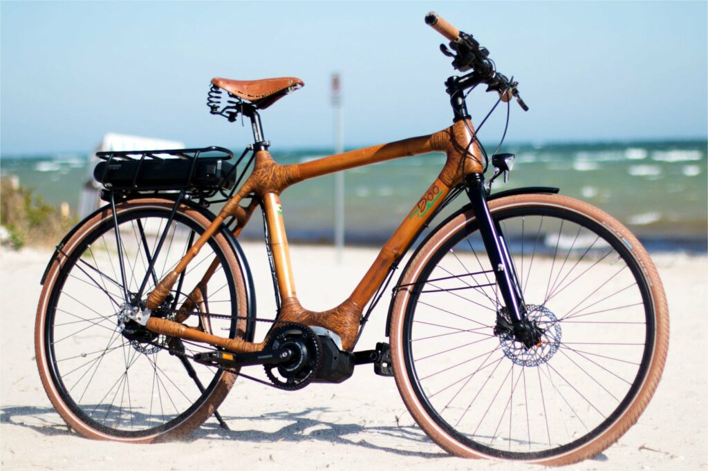 Fietsen op bamboestengels featured image