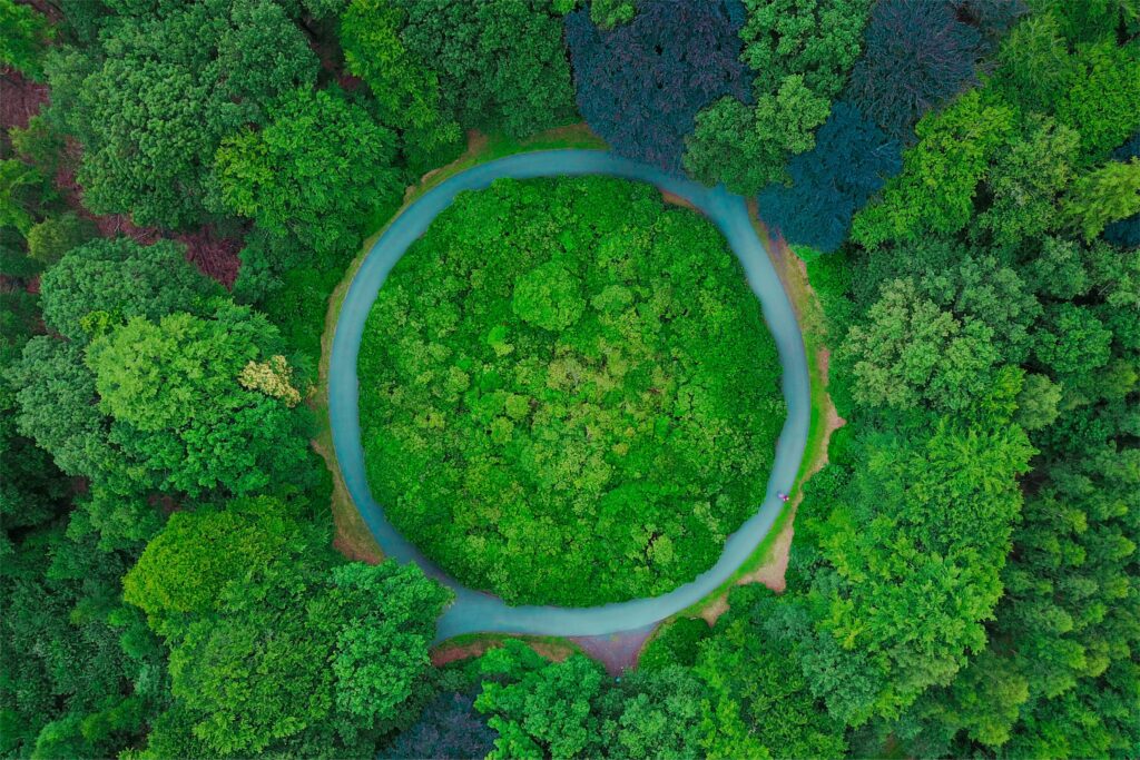 Minibosjes helpen klimaat featured image