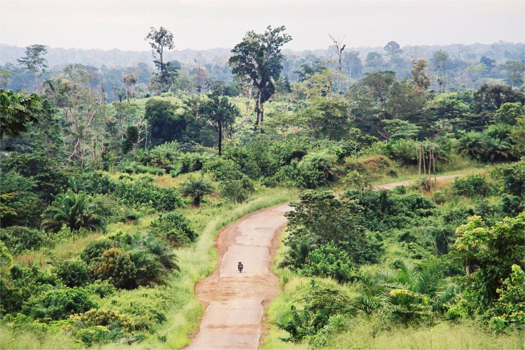 Project mikt op betere naleving EUTR featured image