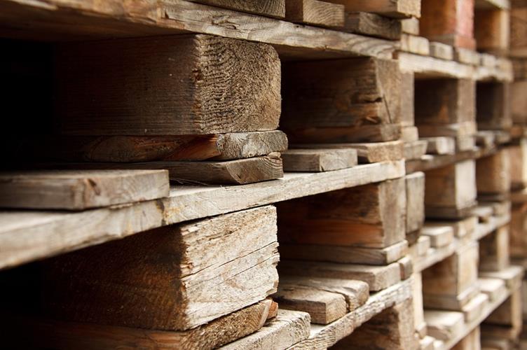 Houten pallets hygiënischer dan plastic featured image