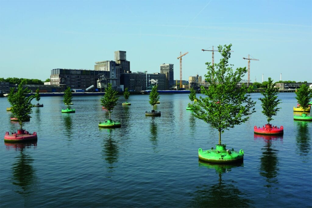 Het bos dobberde 5 jaar lang in Rotterdam