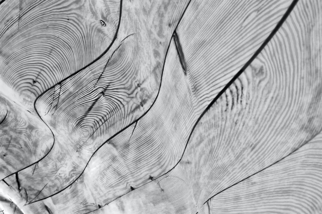 Bescheidenheid en marketing in de houtbranche