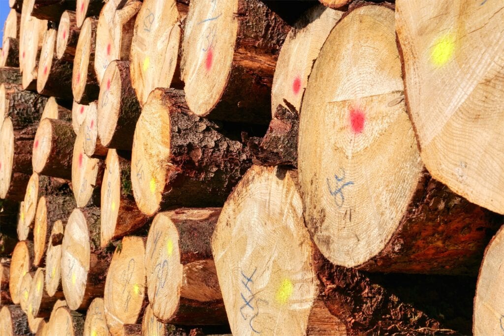 Impuls geven aan gebruik van Nederlands hout in de bouw