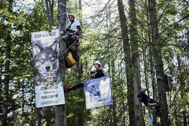 Drie miljard extra bomen in de EU featured image