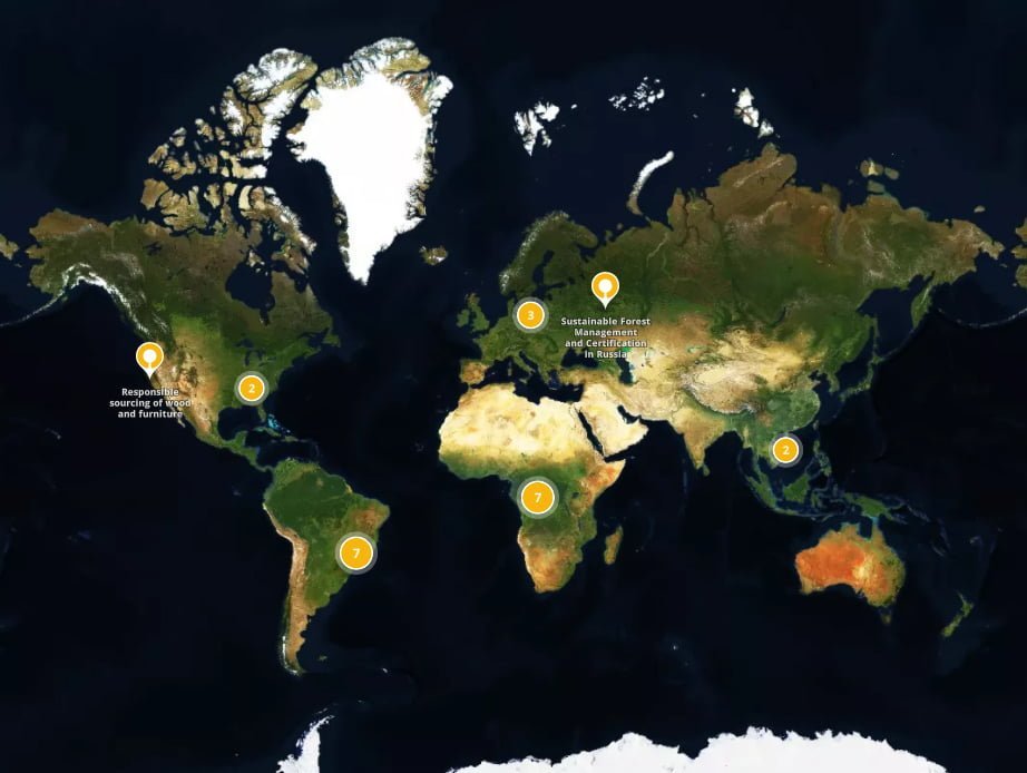 Platform ‘Forests Forward’ van WWF featured image