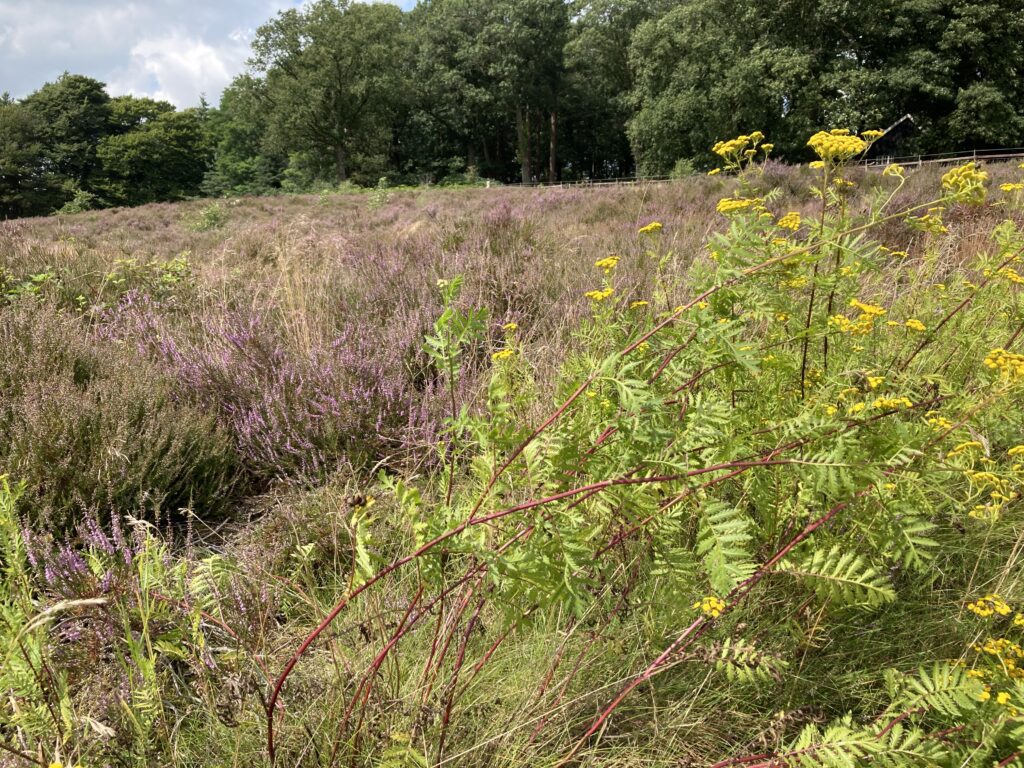 Pak jij marketing- en verkoopkansen door op trends in te spelen? featured image