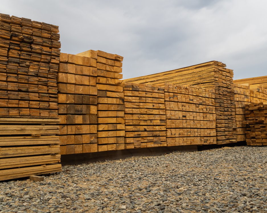 ‘EU-sancties beperken houtimport uit Rusland’ featured image