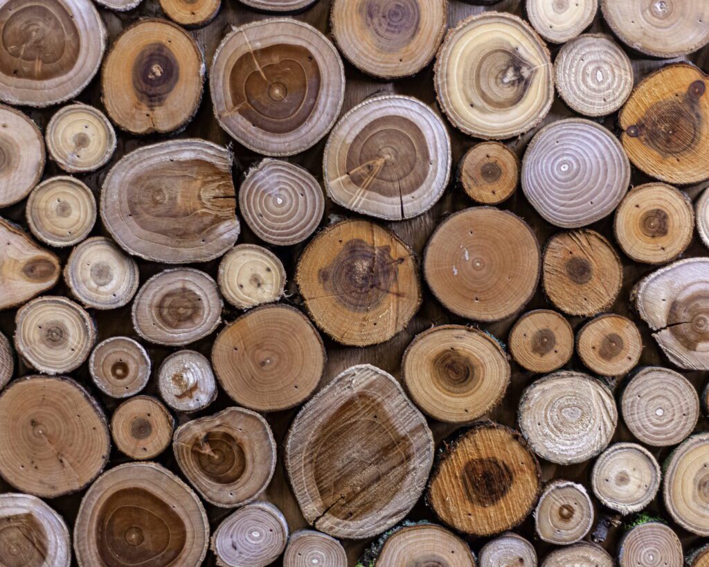 SHR breidt cursusaanbod hout uit featured image