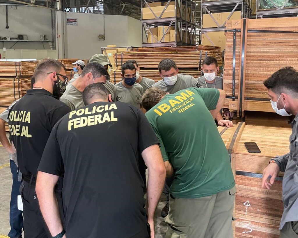 NVWA geschrokken van illegale houtkap in Brazilië featured image