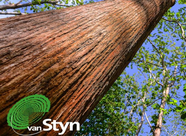 Jachtbouwleverancier gaat voor FSC featured image