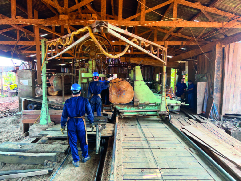 Houtoogst in FSC bos