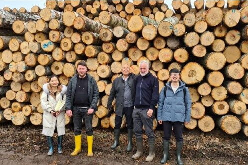 Rowood laat berkenmultiplex in China produceren van Baltisch hout featured image