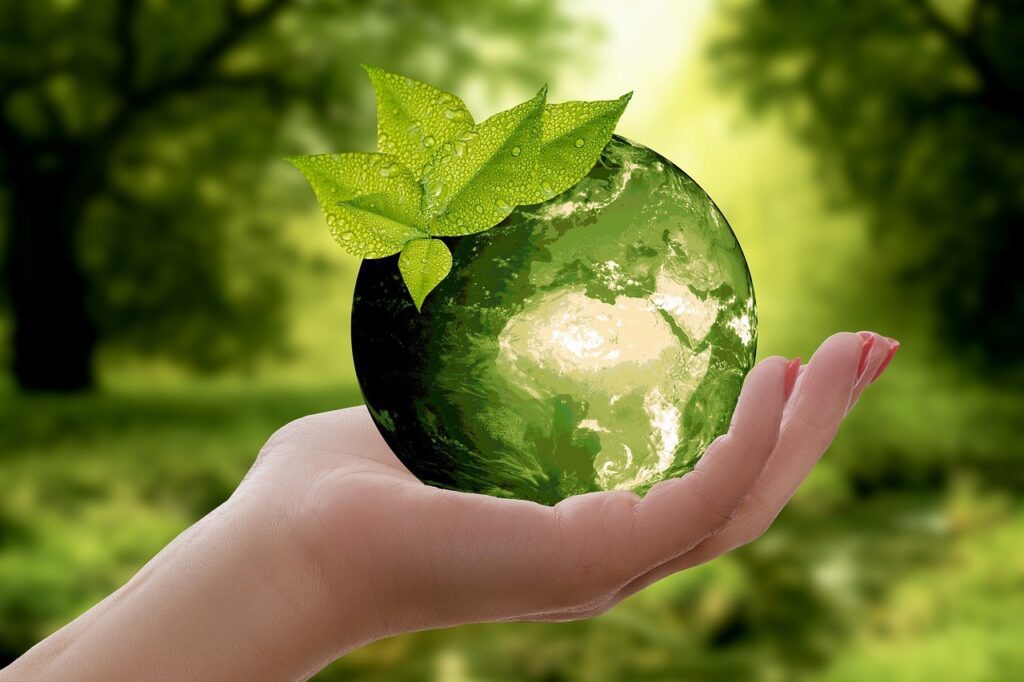 Verduurzamen door hout te recyclen featured image