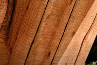 Startup wil met AI houtbouw nog duurzamer maken featured image