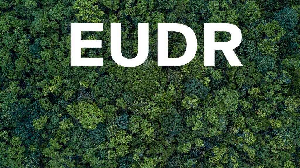 EC: EUDR gaat toch in per december 2025