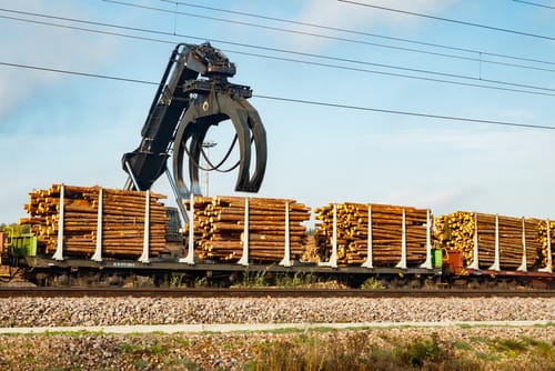Stora enso verkoopt 168.000 hectare bos