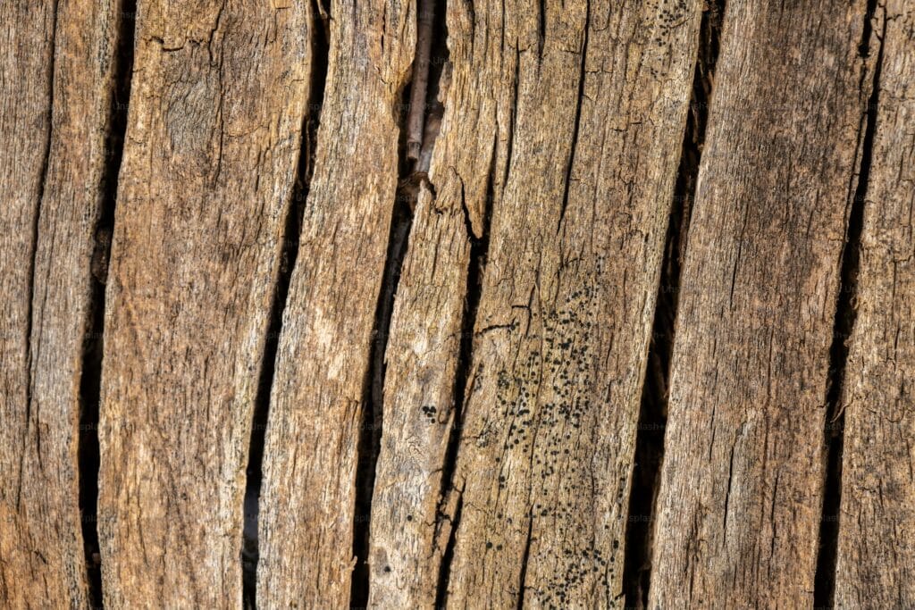 Tegels met een natuurlijke uitstraling: Een kans voor de houtindustrie featured image