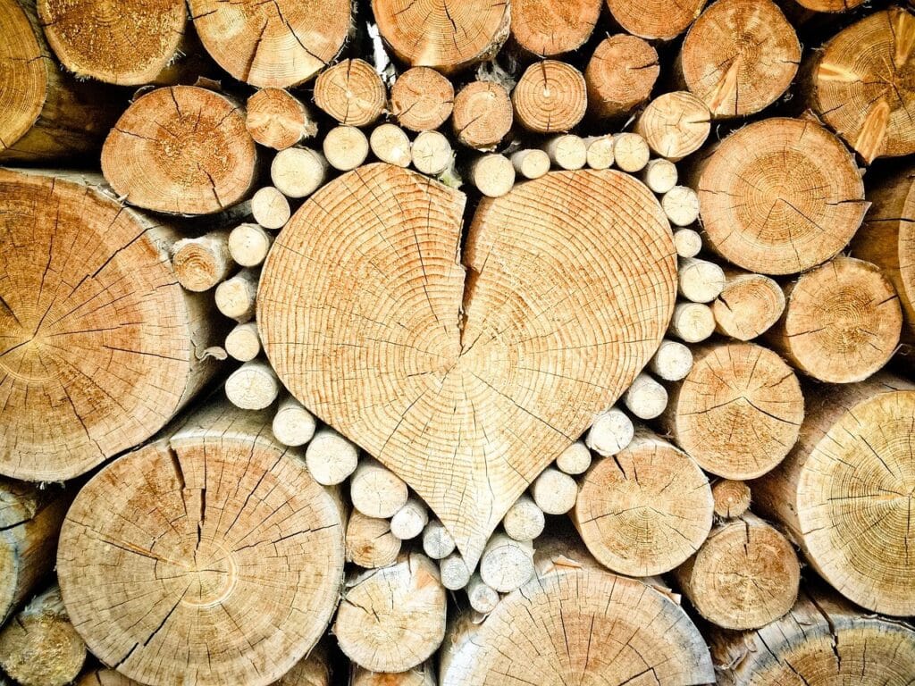 houten hart tussen stammetjes