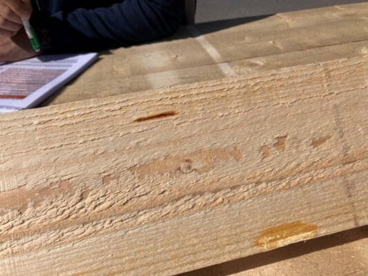 Een harszakje. In klasse US mogen er in de slechtste meter hout maximaal twee zitten, per stuk mogen ze niet langer zijn dan 50 mm.