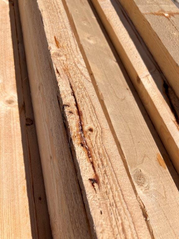 Een bark pocket, oftewel schors insluiting in naaldhout.