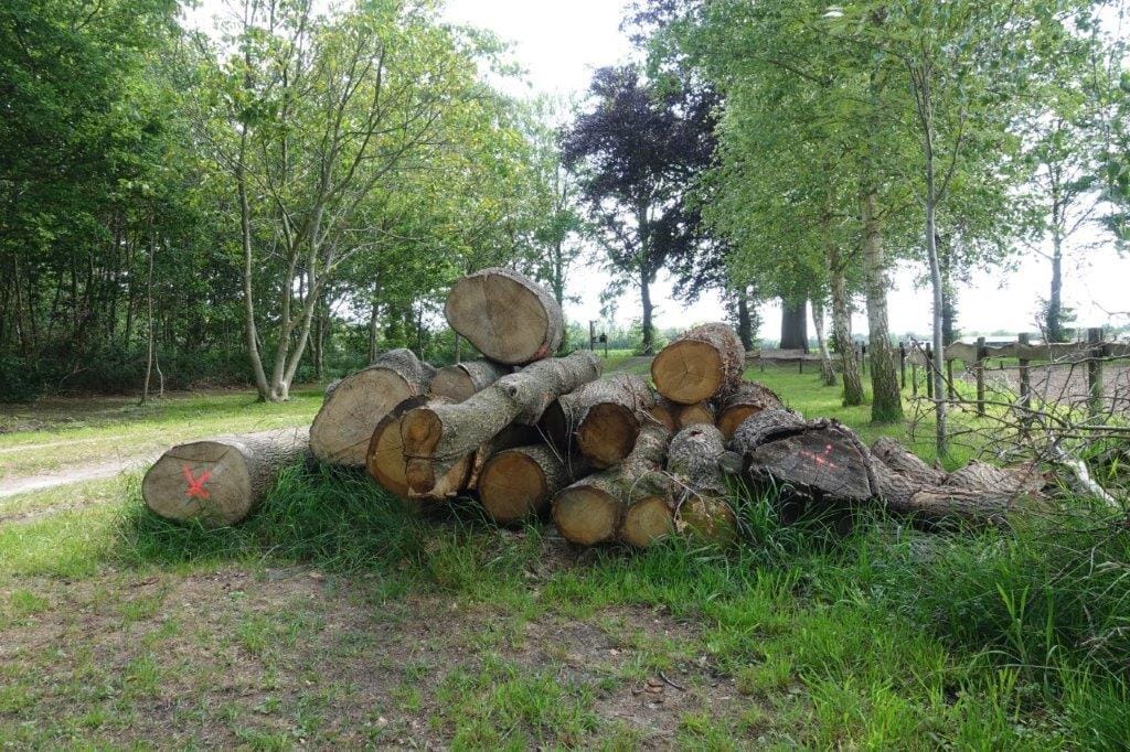 Rondhout dat nog gezaagd moet worden bij handHout in Hengelo