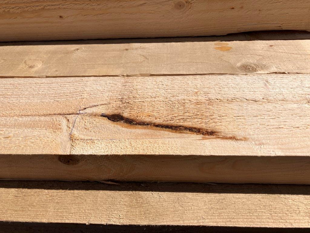 Een topscheur in naaldhout