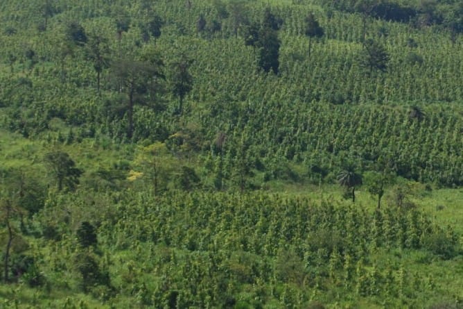 Form International failliet